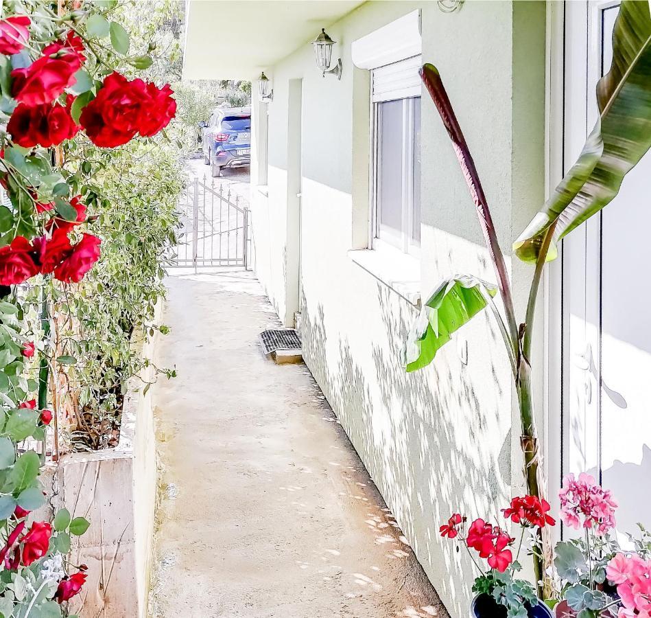 Apartments Siesta Tivat Zewnętrze zdjęcie