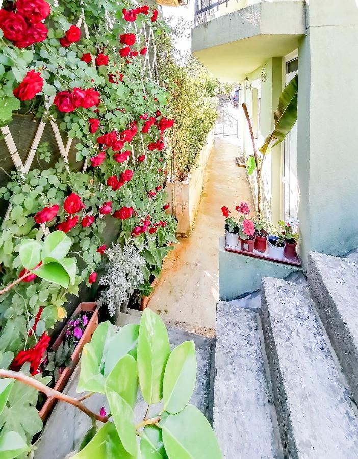 Apartments Siesta Tivat Zewnętrze zdjęcie